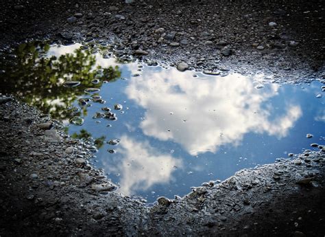 puddle images